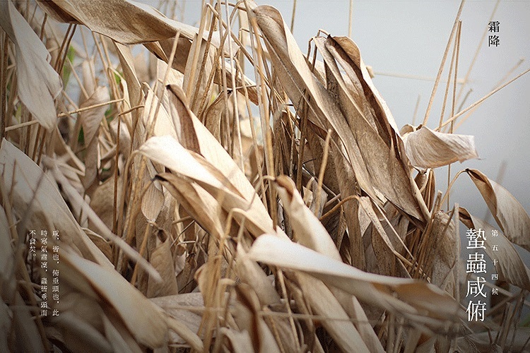 C:\Users\Administrator\Desktop\5.jpg C:\Users\Administrator\Desktop\5.jpg