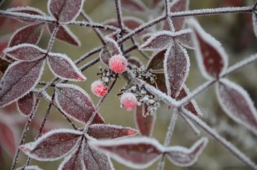 C:\Users\Administrator\Desktop\22.jpg C:\Users\Administrator\Desktop\22.jpg